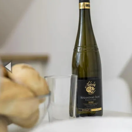 In The Centar Esperia Opatija