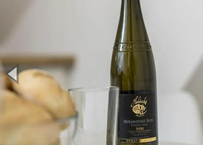 In The Centar Esperia Opatija